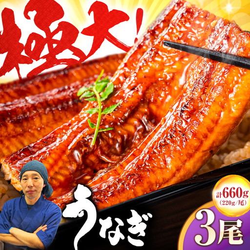 中国産 特大うなぎ蒲焼 計660g（220g×3尾）吉野ヶ里町/株式会社フジマキ うなぎ ウナギ 蒲焼[FDM003]