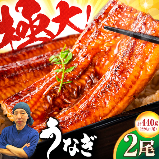中国産 特大うなぎ蒲焼 計440g（220g×2尾）うなぎ ウナギ 蒲焼[FDM004]
