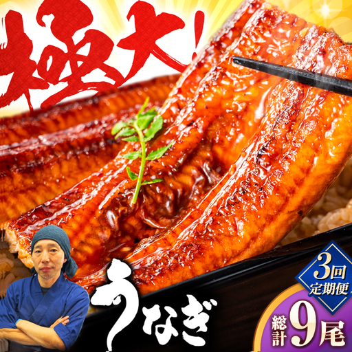 【全3回定期便】中国産 特大うなぎ蒲焼 計660g（220g×3尾）吉野ヶ里町/株式会社フジマキ うなぎ ウナギ 蒲焼[FDM011]
