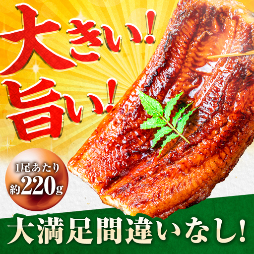 【全3回定期便】中国産 特大うなぎ蒲焼 計660g（220g×3尾）吉野ヶ里町/株式会社フジマキ うなぎ ウナギ 蒲焼[FDM011]