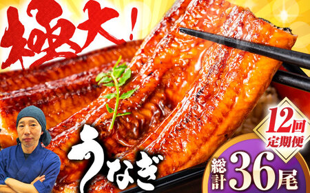【全12回定期便】中国産 特大うなぎ蒲焼 計660g（220g×3尾）吉野ヶ里町/株式会社フジマキ うなぎ ウナギ 蒲焼[FDM013]