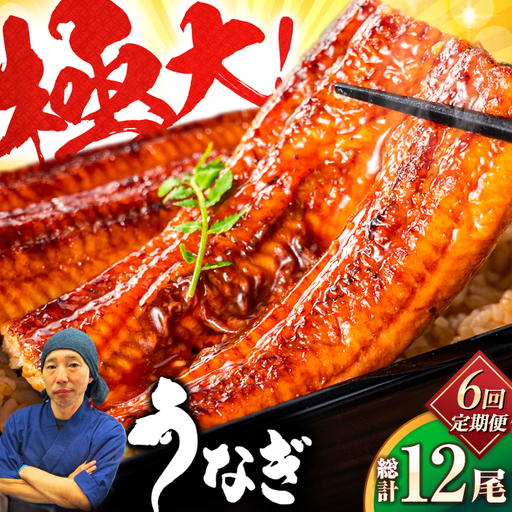 【全6回定期便】中国産 特大うなぎ蒲焼 計440g（220g×2尾）吉野ヶ里町/株式会社フジマキ うなぎ ウナギ 蒲焼[FDM015]