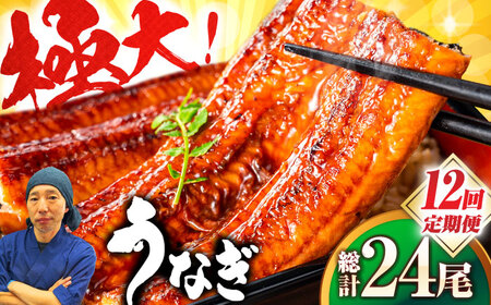 【全12回定期便】中国産 特大うなぎ蒲焼 計440g（220g×2尾）うなぎ ウナギ 蒲焼[FDM016]