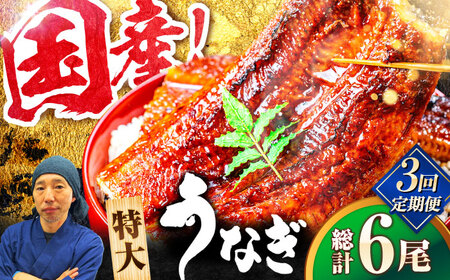 【全3回定期便】国産！九州仕立ての特大うなぎ蒲焼 計400g（200g×2尾）吉野ヶ里町/株式会社フジマキ うなぎ ウナギ 国産[FDM008]