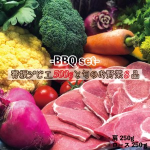 【20C01】背振ジビエ500gと旬の野菜8品BBQセット