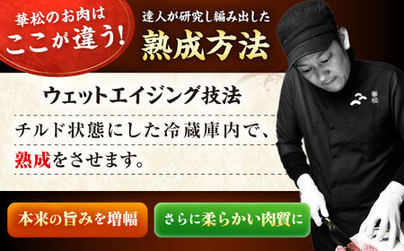 【2026年2月以降発送開始】3回定期便 佐賀牛 カルビ 600g 黒毛和牛 牛肉 [FAY102]