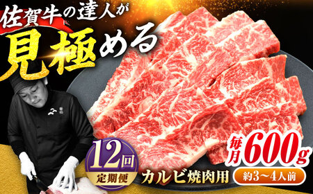 12回定期便  佐賀牛 カルビ 600g 黒毛和牛[FAY104]