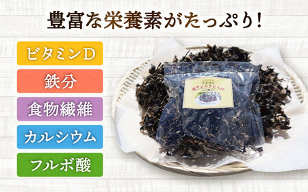 乾燥きくらげ 12g きくらげ キクラゲ[FDS001]