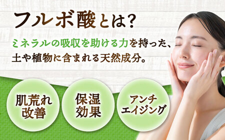 乾燥きくらげ 12g きくらげ キクラゲ[FDS001]