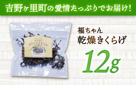 乾燥きくらげ 12g きくらげ キクラゲ[FDS001]