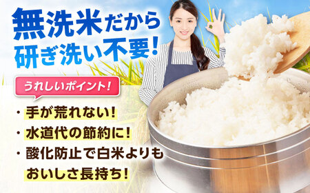 【全3回定期便】 特A獲得！さがびより 無洗米 6kg　総計18kg 吉野ヶ里町/大塚米穀店[FCW032]