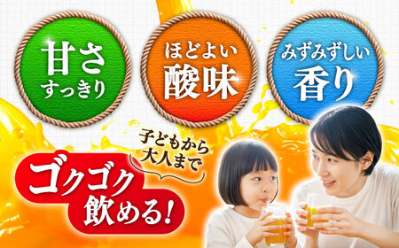 【毎月20個限定】 サンレイみかんジュース　「さがみかん100％搾り」　330ml×12本 吉野ヶ里町/佐賀県農業協同組合[FBE046]