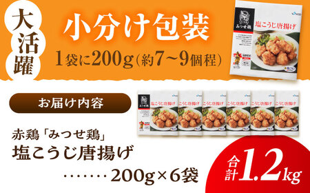 佐賀県産 みつせ鶏 塩こうじ からあげ 6袋 唐揚げ から揚げ 惣菜 弁当[FAE183]