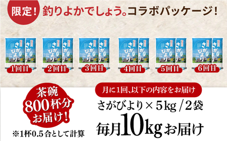 10kg×6回定期便】【令和5年産】さがびより 計60kg（5kg×2袋）6回定期便