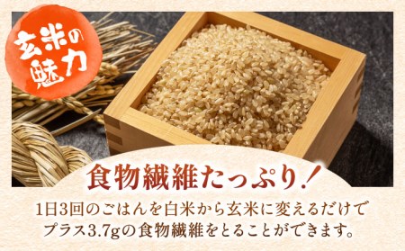 令和5年産】【全5回定期便】特A獲得！さがびより 玄米 20kg（5kg×4袋