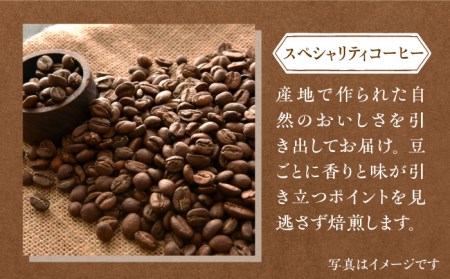 【6回定期便】ジャコウネコ・LAJA・スペシャリティコーヒーセット3種合計400g×6回の計2.4kg ラジャコーヒー【吉野ヶ里】 [FBR011]