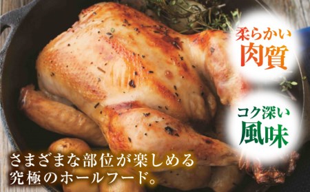 【特別な日に♪】みつせ鶏 丸鶏 1羽（2.0〜2.3kg）【ヨコオフーズ】鶏 鶏肉 クリスマス 鳥 [FAE081]