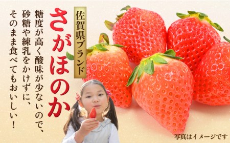 【1月中旬～3月中旬発送】みずみずしい果肉！さがほのかレギュラーパック4P 240g×4 いちご イチゴ 苺 フルーツ 果物 佐賀 吉野ヶ里町/リエンサーク [FCC001]