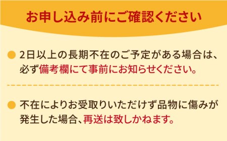 【1月中旬～3月中旬発送】みずみずしい果肉！さがほのかレギュラーパック4P 240g×4 いちご イチゴ 苺 フルーツ 果物 佐賀 吉野ヶ里町/リエンサーク [FCC001]