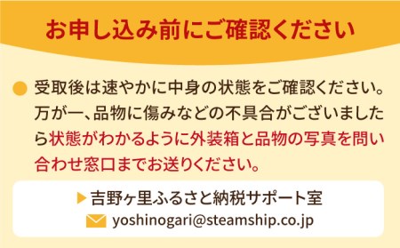 【1月中旬～3月中旬発送】みずみずしい果肉！さがほのかレギュラーパック4P 240g×4 いちご イチゴ 苺 フルーツ 果物 佐賀 吉野ヶ里町/リエンサーク [FCC001]