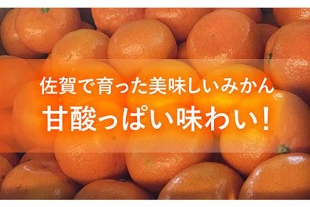 山吹ミカン様 www.agenciacuringa.com.br