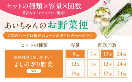 【8品 / 12回定期便】農薬に頼らない！カラダにやさしい「よしのがり野菜」セット（ショート） [FAA002]