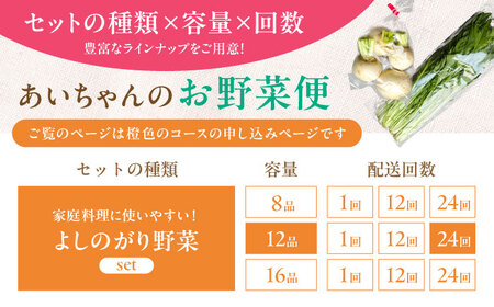 【12品 / 24回定期便】農薬に頼らない！カラダにやさしい「よしのがり野菜」セット（レギュラー）[FAA007]