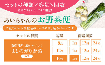 【16品】農薬に頼らない！カラダにやさしい「よしのがり野菜」セット（ラージ）吉野ヶ里あいちゃん農園 [FAA009]
