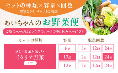 【10品×24回定期便】あいちゃん農園「イタリア野菜」セット（レギュラー） 野菜 やさい[FAA019]