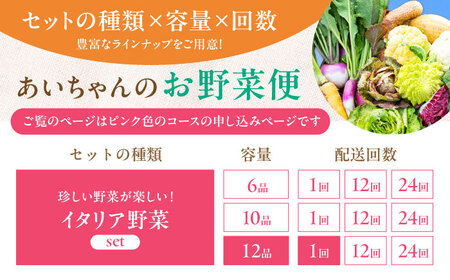 【12品】あいちゃん農園の「イタリア野菜」セット（ラージ）野菜 やさい[FAA021]