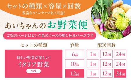 【12品×24回定期便】あいちゃん農園の「イタリア野菜」セット（ラージ） 野菜 やさい[FAA023]