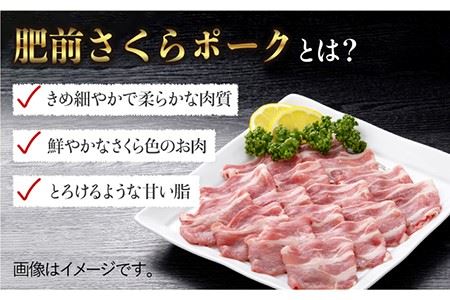 【佐賀のブランド豚・大容量】肥前さくらポーク 肩ローススライス1,000g[FBE024]