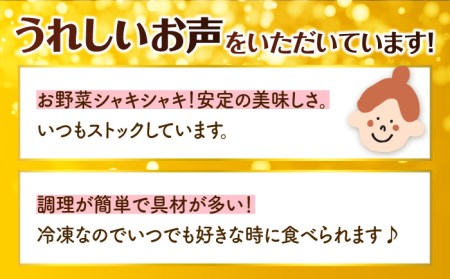 あの人気店の味をおうちで！【12回定期便】ちゃんぽん・皿うどんセット4食セット（各2食）  リンガーハット 長崎ちゃんぽん チャンポン うどん[FBI016]