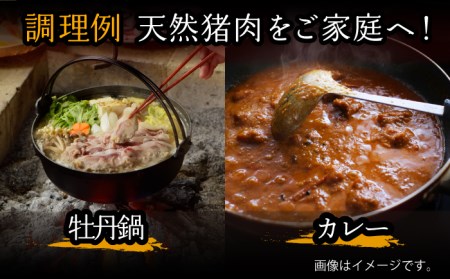 【3回定期便】≪脊振ジビエ≫3種のイノシシ肉セット 総量3.6kg 猪 佐賀 鍋 濃厚 さっぱり 小分け 新鮮 旨味 ブイマート・幸ちゃん[FAL061]