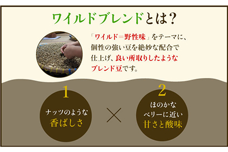 【3回定期便】ワイルドブレンドドリップバッグセット（15袋入り） [FBR042]