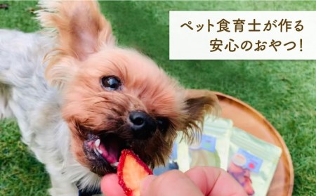 犬の無添加おやつ☆お砂糖不使用 旬のドライフルーツおまかせ6袋 吉野ヶ里町 [FCG022]