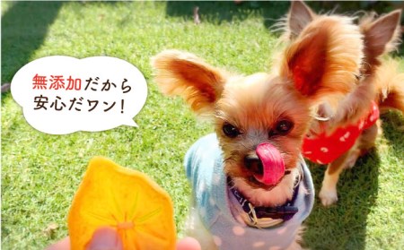 犬の無添加おやつ☆お砂糖不使用 旬のドライフルーツおまかせ6袋 吉野