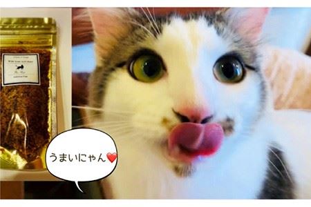 シニア犬＆幼犬＆猫用の無添加おやつ☆ふわふわ天然いのししフレーク3回定期便【わんこin食堂】 [FCG049]