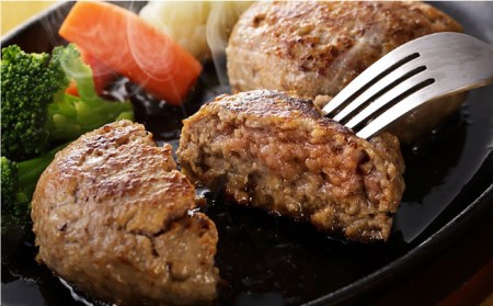 大満足♪佐賀県産和牛と手作りハンバーグ・肥前さくらポークのよくばりセット★牛肉 豚肉 ハンバーグ [FBF078]