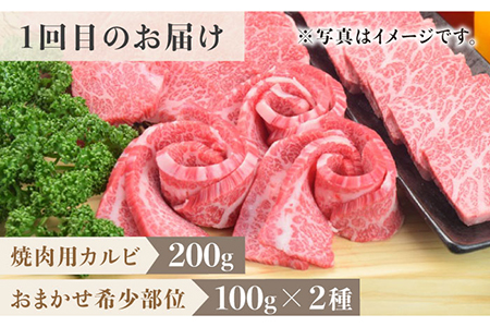 【2026年2月以降発送開始】【全3回定期便】1ヶ月に1度の佐賀牛ひとり贅沢コース ステーキ/焼肉/スライス 牛肉 希少 赤身 カルビ ヒレ サーロイン モモ 切り落とし[FAY065]