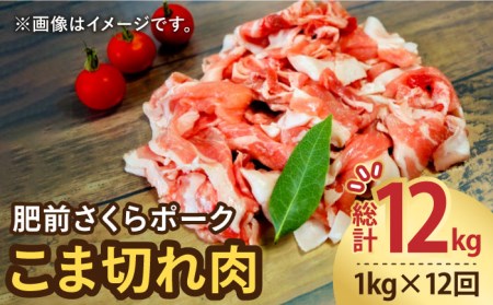 【12回定期便】＜毎日のお料理に便利に使える♪＞肥前さくらポーク こま切れ 1kg (500g × 2パック) 佐賀県産 国産豚肉 小間 小分け 吉野ヶ里町/アスタラビスタ[FAM031]