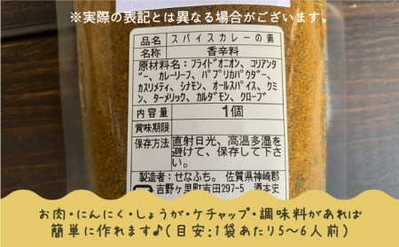 スパイスナッツ100g スパイスキーマカレーの素100g （5～6人分）×2