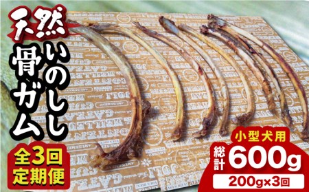 【全3回定期便】＜小型犬用＞スモーキーな香りが食欲をそそる！天然いのしし骨ガム200g 総計600g（肋骨） 吉野ヶ里町/まちづくり会株式会社[FBK048]