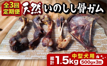 【全３回定期便】＜中型犬用・大容量＞スモーキーな香りが食欲をそそる！天然いのしし骨ガム500g 総計1.5kg（肩甲骨もしくは橈骨） 吉野ヶ里町/まちづくり会株式会社[FBK049]