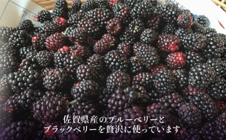 植物性100％ Vegan Raw Cake Double berry（ブルーベリー＆ブラックベリー/Mサイズ）お砂糖・小麦粉・乳製品不使用のスイーツ ヴィーガンローケーキ 吉野ヶ里町/Dondonyokunaru [FCF054]