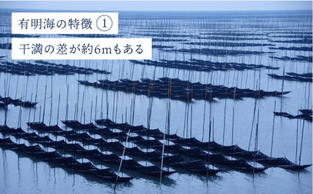 【焼きのり・味付けのり】佐賀海苔 有明の華 のり 海苔[FBC047]