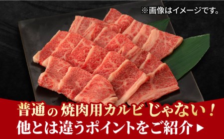 佐賀牛 カルビ 焼肉用 500g  吉野ヶ里町/NICK’S MEAT[FCY010]