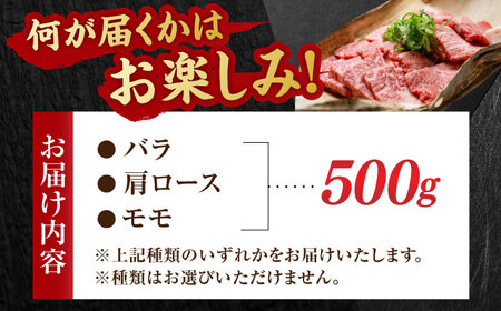 艶さし！ 佐賀牛 焼肉用 500g 吉野ヶ里町 佐賀牛 焼肉 国産 ブランド牛 牛肉 肉 [FDB008]