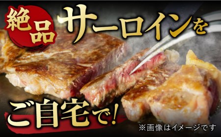 佐賀牛 サーロインステーキ 500g  すてーき 黒毛和牛[FDB010]