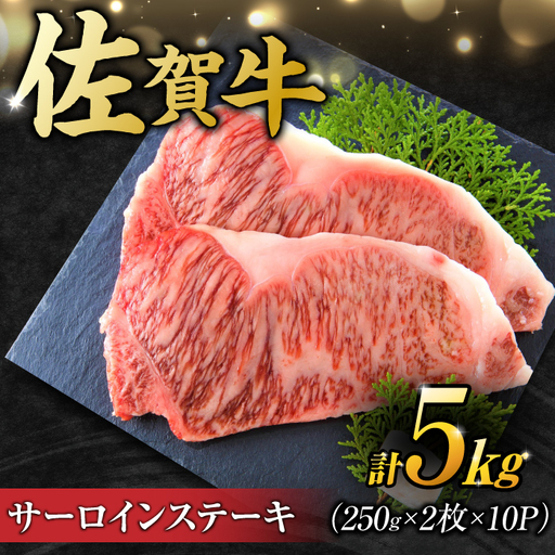【不揃い訳あり】佐賀牛 サーロインステーキ 5kg ( 250g 2枚入り×10パック) 吉野ヶ里町 訳あり 訳アリ 不揃い ふぞろい 厚み不揃い 規格外 佐賀牛 牛肉 肉 サーロイン ステーキ 国産 ブランド牛[FDB012]